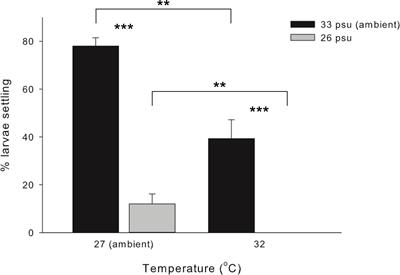 Effects of heat and hyposalinity on the gene expression in Acropora pruinosa larvae